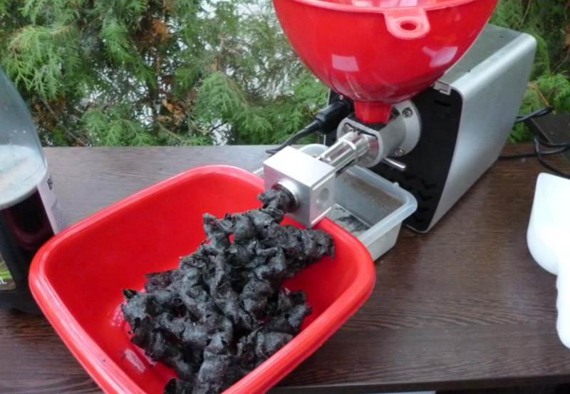 Presa ulei la rece extractie de ulei din seminte negrilica